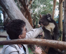 Rita Pressnall petting a koala