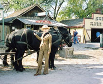 Russian DR at Cowtown