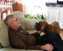 Even the dogs made friends