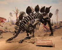 Royal Tyrell Museum in Drumheller, Alberta